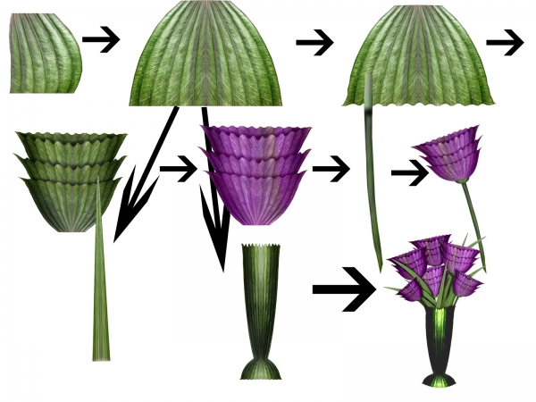 Creation of Flowers: Step 1